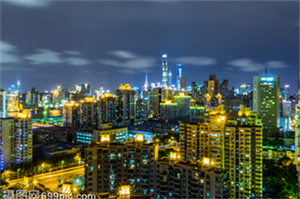 上海后花园的夜晚，一场华丽的植物盛宴