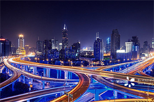 失业对家庭消费行为的影响：上海的观察